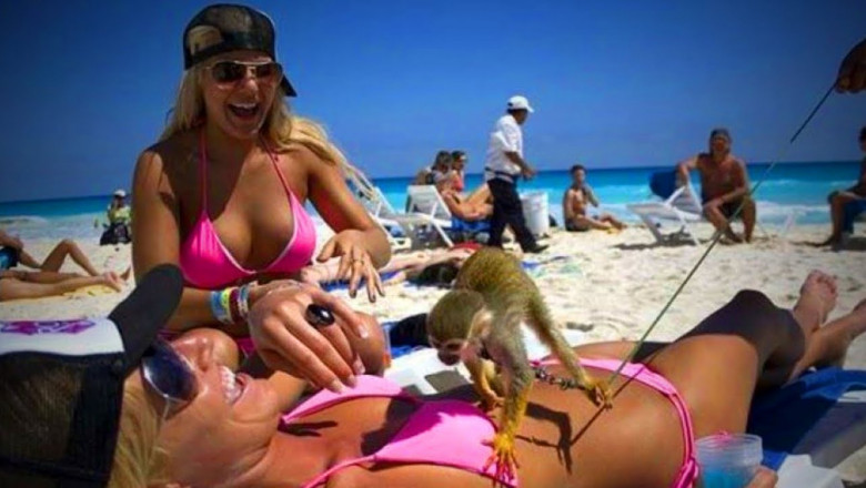 Пляжные неудачи 