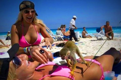 Пляжные неудачи 