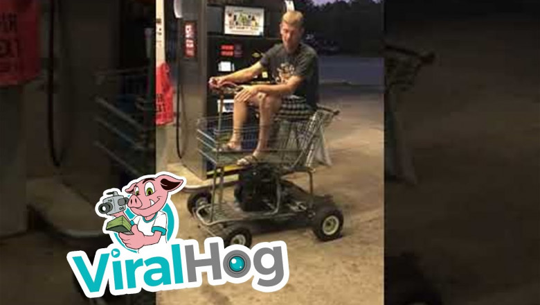 Тележка из супермаркета как вид транспорта 