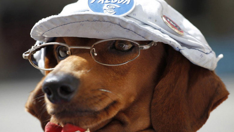 Это точно вас рассмешит 