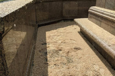 Атака мотыльков - подёнок 