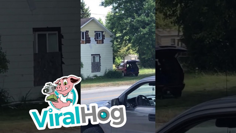 Необычная газонокосилка 