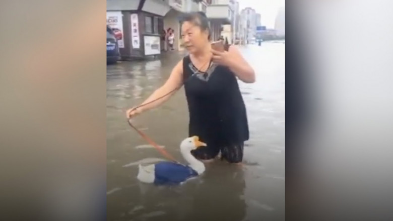 А гусям повезло ...