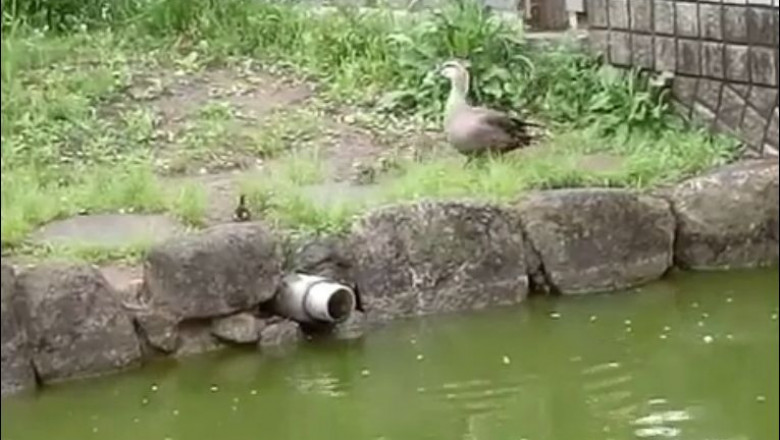 Когда отстал от своих 