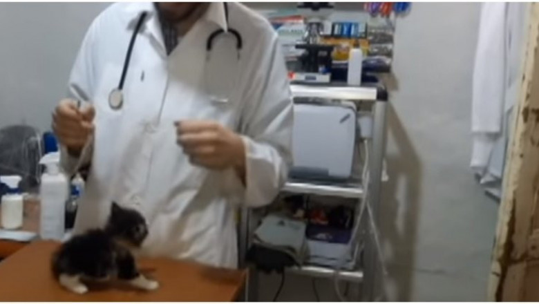 Маленький комок злости 