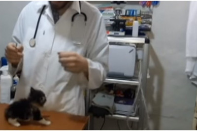 Маленький комок злости 