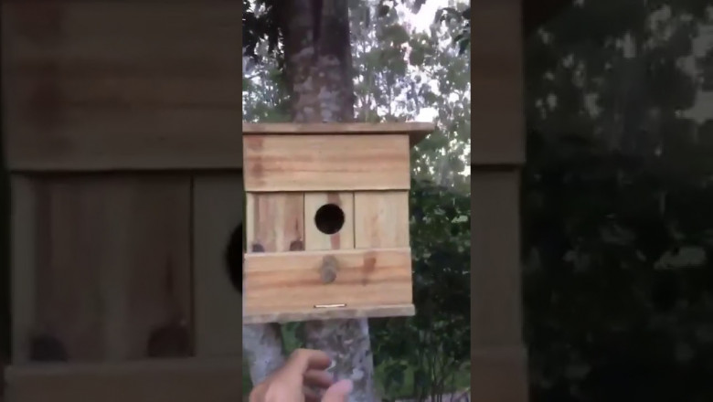 Скворечник с сюрпризом 