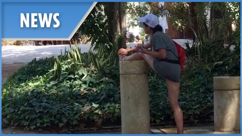 Ни стыда , ни совести 