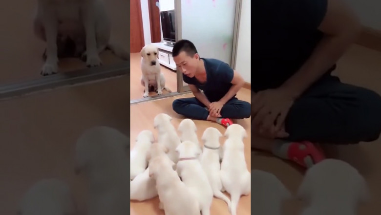  Мама всегда защитит 