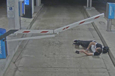 Победил шлагбаум 