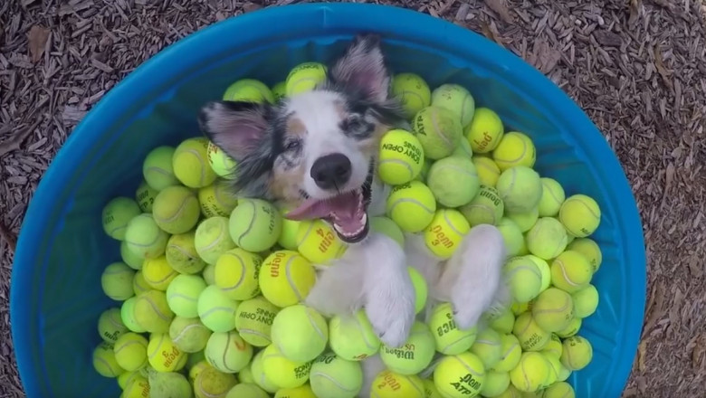 Катапульта  с мячиками