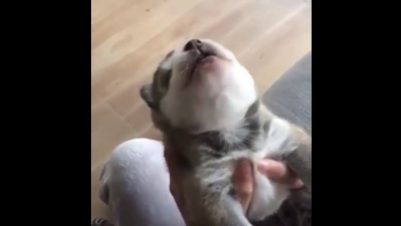 Ауууу первое в жизни 