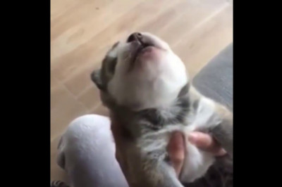 Ауууу первое в жизни 