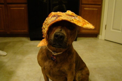 Любительница  пиццы 