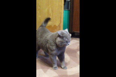  И кто это там ? 