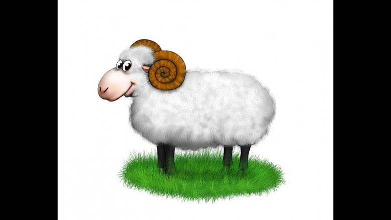 Баран на улице Питера 