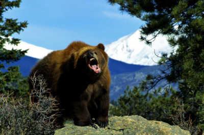 Первое дежурство молодого лейтенанта 