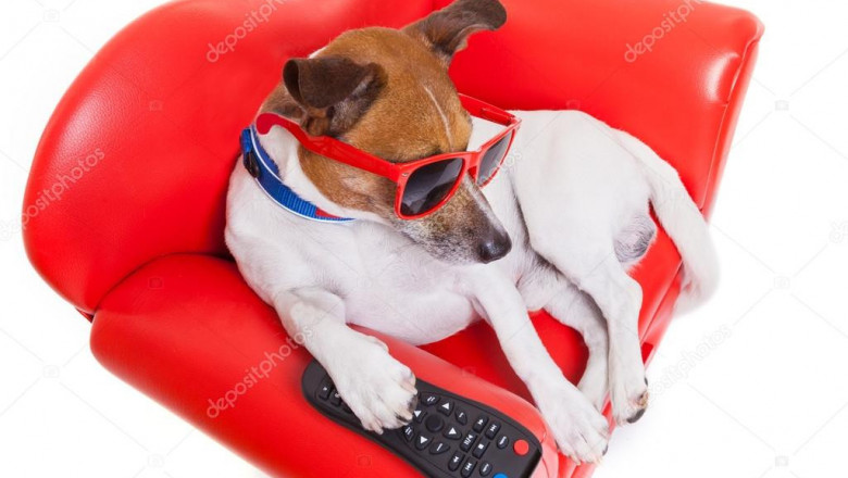 Когда с самооценкой всё в порядке 