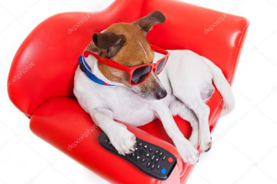 Когда с самооценкой всё в порядке 