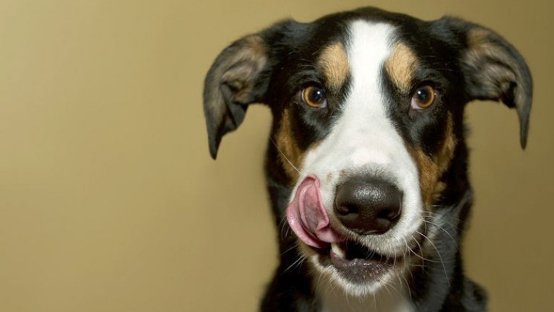 Сдачи не берёт 