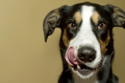 Сдачи не берёт 