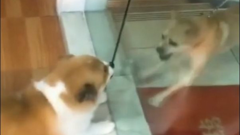 Коротенько  о дискуссиях в Сети 