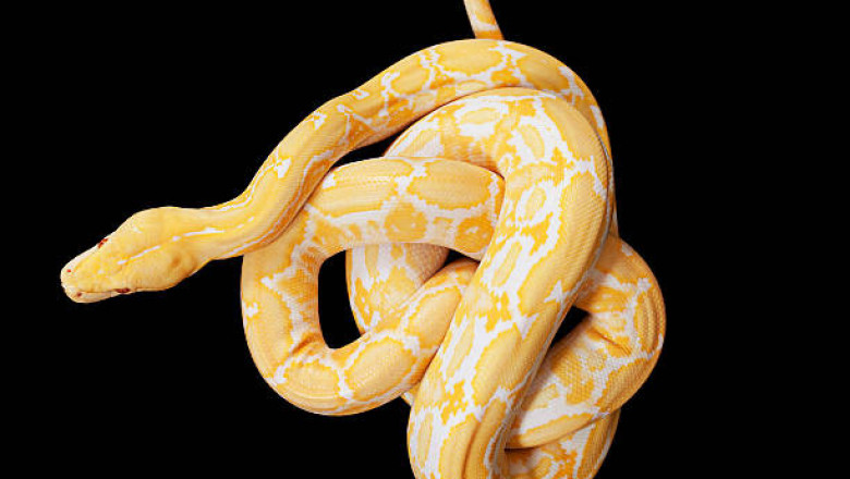 Тут и до инфаркта недалеко 