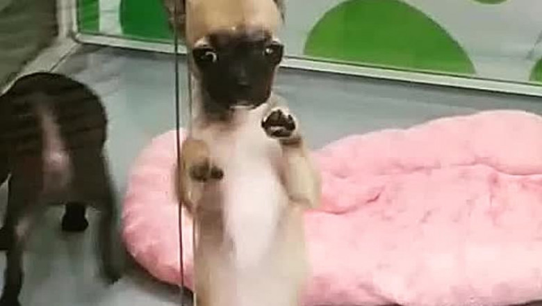 Зажигательная ламбада 