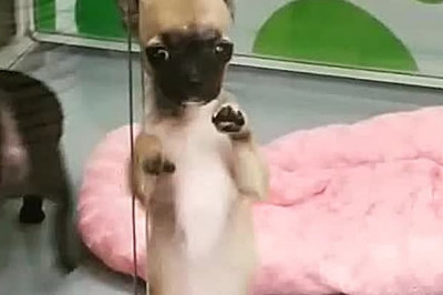 Зажигательная ламбада 