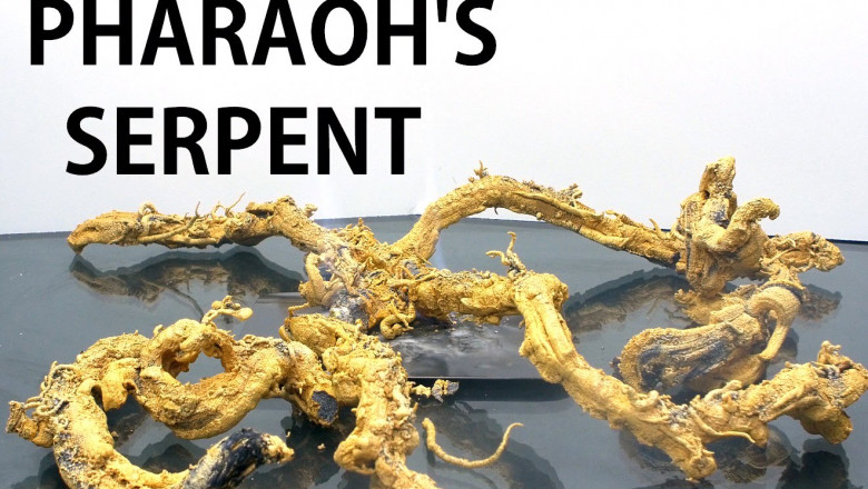 Химическая реакция 