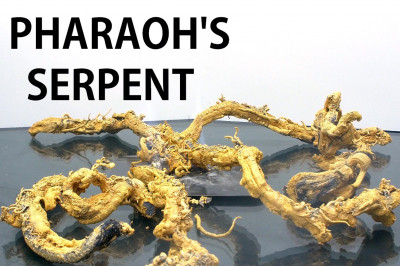 Химическая реакция 