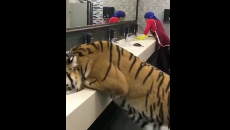 Каждый занят своим делом 