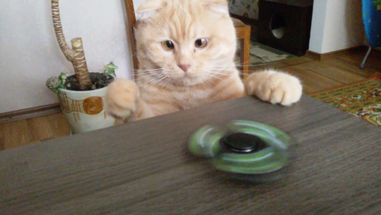 Любимая игрушка 