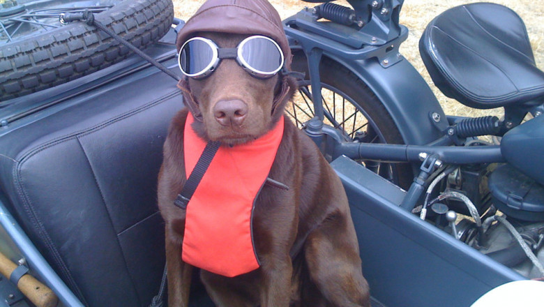 Любители катания на мотоцикле 