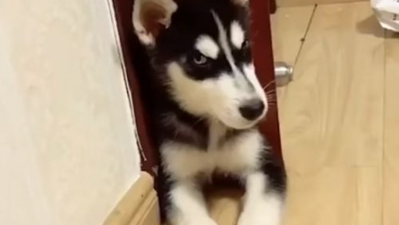 Регулятор громкости 