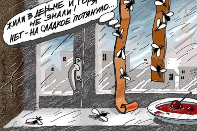 На чистой совести каждый хочет потоптаться