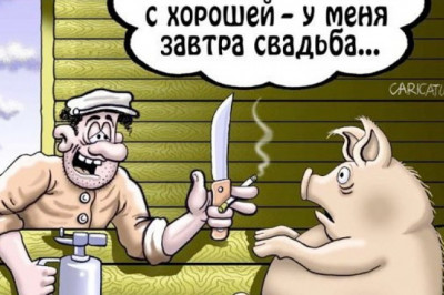 Тонкий намёк на толстые обстоятельства 