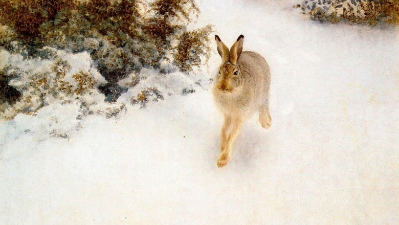 Не охота , а смех !