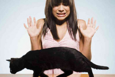 Сила суеверий 