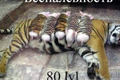 Беспалевность уровень бог